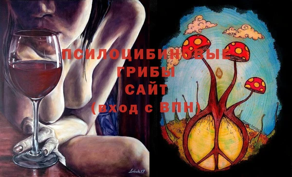 ECSTASY Бугульма