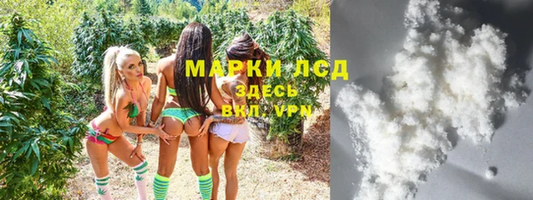 МДПВ Бородино