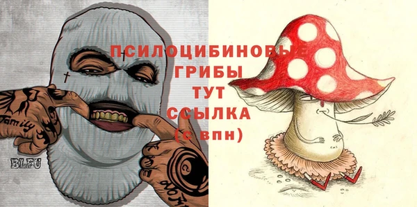 МДПВ Бородино