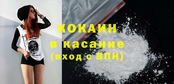 тгк Богородицк