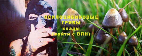 a pvp Богородск